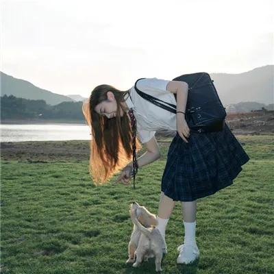 井